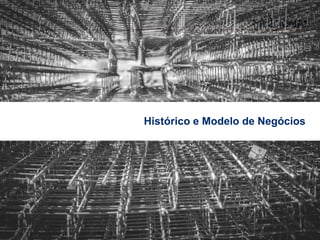Histórico e Modelo de Negócios
 