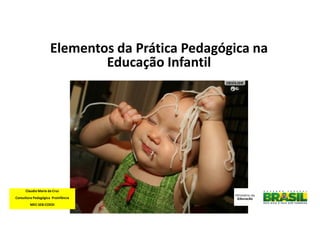 Elementos da Prática Pedagógica na
Educação Infantil

Claudia Maria da Cruz
Consultora Pedagógica Proinfância
MEC-SEB-COEDI

 