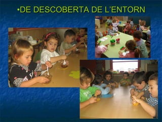 •DE DESCOBERTA DE L’ENTORN
 