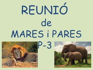 REUNIÓ
     de
MARES i PARES
    P-3
 