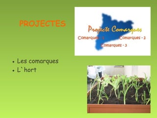PROJECTES



● Les comarques
● L`hort
 