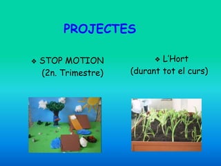PROJECTES
❖ STOP MOTION
(2n. Trimestre)
❖ L’Hort
(durant tot el curs)
 