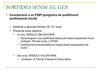 SORTIDES SENSE EL GES
   Incorporació a un PQPI (programa de qualificació
    professional inicial)

       Destinat a a...