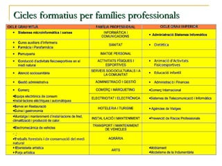 Cicles formatius per famílies professionals
 