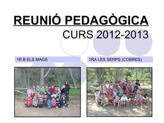 REUNIÓ PEDAGÒGICA
                CURS 2012-2013

1R B ELS MAGS       1RA LES SERPS (COBRES)
 