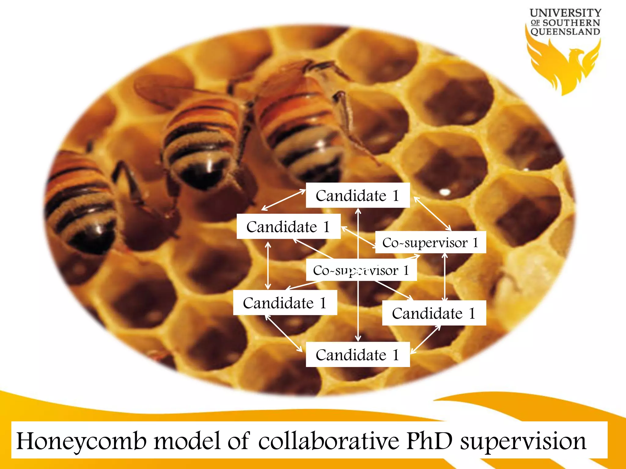 Candidate 1
                   Candidate 1
                                      Co-supervisor 1
                            Co-supervisor 1

                   Candidate 1
                                        Candidate 1

                            Candidate 1




Honeycomb model of collaborative PhD supervision
 