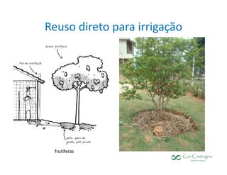Reuso direto para irrigação




 frutíferas
 