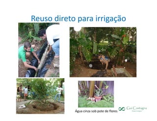 Reuso direto para irrigação




                         Em frutífera sob mulch




            Água cinza sob pote de flores
 