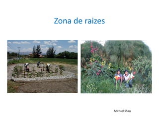 Zona de raizes




                 Michael Shaw
 
