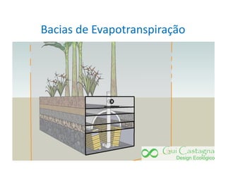 Bacias de Evapotranspiração
 