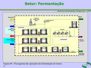 Workshop Sustainability of Sugarcane – CTBE
Setor: Fermentação
Mosto
Vinho para
Destilação
Leite de
Levedura
Gases (CO2)
Torres de
lavagem dos
gases
Fermentação
Tq.
Vinho
Bruto
02 03 04
01
Turbinas
Distribuidor de
Mosto
Dorna
Volante
Dorna
Volante
Água p/
Lavagem de
Gases
Turbinamento
Figura 40 - Fluxograma das operações da fermentação do mosto.
12
Água de
Resfriamento de
Dornas
Dorna (serpentina)
Dorna (serpentina)
Dorna (serpentina)
Dorna (trocador) Dorna (trocador)
Dorna (trocador)
Dorna (trocador)
Dorna (trocador) Dorna (trocador)
 