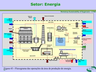 Workshop Sustainability of Sugarcane – CTBE
Setor: Energia
Água quente
Água fria
Energia
elétrica
Fuligem Decantada
Gases de Combustão
Sobra de
Bagaço
Vapor de escape p/
processo
Água p/
dessuperaquecedor
água quente
Bagaço
Água p/
Lavagem de
Gases
Prensa de
fuligem
Água p/
Lavadores de
Gases
vapor direto
Turbogerador
CPFL
Lav.
de gases
Caldeira
Desaerador
Condensado
Recuperado
Unidade de Desaeração de água
Água p/ Limpeza
Cinzeiros
Cinzas
efluente quente
com cinzas
óleo
energia elétrica
Moendas
Picadores
Desfibrador
Turbinas
vapor de
escape
Água Tratada
(ETA)
Dessuper-
aquecedor
vapor de
escape
saturado
Figura 43 - Fluxograma das operações da área de produção de energia.
14
Trocador de calor
 