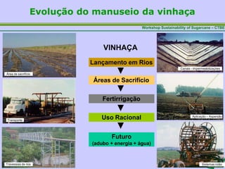 Workshop Sustainability of Sugarcane – CTBE
44
Evolução do manuseio da vinhaça
VINHAÇA
Lançamento em Rios
Áreas de Sacrifício
Fertirrigação
Uso Racional
Futuro
(adubo + energia + água)
Transporte
Canais - impermeabilizações
Sistemas rolão
Aplicação – Aspersão
Área de sacrifício
Travessias de rios
 