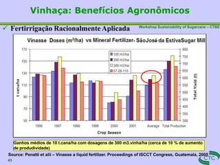 Workshop Sustainability of Sugarcane – CTBE
Source: Penatti et alii – Vinasse a liquid fertilizer. Proceedings of ISCCT Congress, Guatemala, 2005
 Fertirrigação Racionalmente Aplicada
Vinhaça: Benefícios Agronômicos
43
Ganhos médios de 10 t.cana/ha com dosagens de 300 m3.vinha/ha (cerca de 10 % de aumento
de produdividade)
 