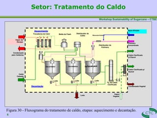 Workshop Sustainability of Sugarcane – CTBE
Setor: Tratamento do Caldo
Vapor de
Escape
Decantador
Caldo Clarificado p/
Açúcar
Distribuidor de
Polímero
Balão de Flash
Lodo
Decantação
Tq. de Caldo
Clarificado
Condensado Vegetal
Vapor
Vegetal
Condensado
para Caldeiras
Lodo
Caldo
Caleado
Distribuidor de
Caldo
Lodo
Lodo
Aquecimento
Trocadores de Calor
DecDaenctanotardor
Polímero
Concentrado
Caldo Clarificado
p/ Etanol
Decantador
Água diluição
MisturadorEstático
6
Figura 30 - Fluxograma do tratamento de caldo, etapas: aquecimento e decantação.
 