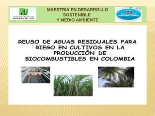 MAESTRIA EN DESARROLLO
      SOSTENIBLE
   Y MEDIO AMBIENTE
 
