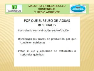 MAESTRIA EN DESARROLLO
      SOSTENIBLE
   Y MEDIO AMBIENTE
 