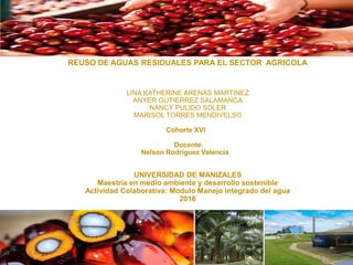 REUSO DE AGUAS RESIDUALES PARA EL SECTOR AGRICOLA
LINA KATHERINE ARENAS MARTINEZ
ANYER GUTIERREZ SALAMANCA
NANCY PULIDO SOLER
MARISOL TORRES MENDIVELSO
Cohorte XVI
Docente.
Nelson Rodríguez Valencia
UNIVERSIDAD DE MANIZALES
Maestría en medio ambiente y desarrollo sostenible
Actividad Colaborativa: Modulo Manejo integrado del agua
2016
 