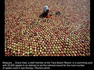 Malaysia ... Diana Hadi, a staff member at the Tiara Beach Resort, in a swimming pool  with 20,000 apples in an attempt to set the national record for the most number  of apples used in spa therapy / Reuters photo  