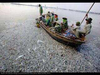 Workers collect dead fishes floating in the polluted West Lake in Hanoi, Vietnam. Nguyen Huy Kham / Reuters
 