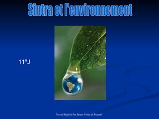 Sintra et l'environnement 11ºJ 