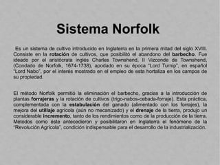 Sistema Norfolk
Es un sistema de cultivo introducido en Inglaterra en la primera mitad del siglo XVIII.
Consiste en la rotación de cultivos, que posibilitó el abandono del barbecho. Fue
ideado por el aristócrata inglés Charles Townshend, II Vizconde de Townshend,
(Condado de Norfolk, 1674-1738), apodado en su época “Lord Turnip”, en español
“Lord Nabo”, por el interés mostrado en el empleo de esta hortaliza en los campos de
su propiedad.
El método Norfolk permitió la eliminación el barbecho, gracias a la introducción de
plantas forrajeras y la rotación de cultivos (trigo-nabos-cebada-forraje). Esta práctica,
complementada con la estabulación del ganado (alimentado con los forrajes), la
mejora del utillaje agrícola (aún no mecanizado) y el drenaje de la tierra, produjo un
considerable incremento, tanto de los rendimientos como de la producción de la tierra.
Métodos como éste antecedieron y posibilitaron en Inglaterra el fenómeno de la
“Revolución Agrícola”, condición indispensable para el desarrollo de la industrialización.
 