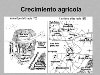 Crecimiento agrícola
 