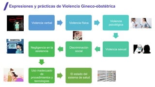 Manual de Buenas Prácticas para la Prevención de Violencia Gineco ...