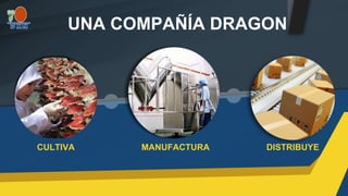 CULTIVA
UNA COMPAÑÍA DRAGON
MANUFACTURA DISTRIBUYE
 