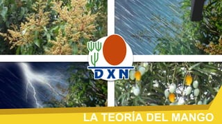 LA TEORÍA DEL MANGO
 