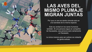 LAS AVES DEL
MISMO PLUMAJE
MIGRAN JUNTAS
Por que un ave se siente cómoda solo en
una bandada de la misma especie.
Esto es verdad en los seres humanos
también. Si una persona sigue en compañía
de fracasados, esa persona será ciertamente
un fracasado.
La única manera para ser exitoso es rodearte
de gente exitosa.
 