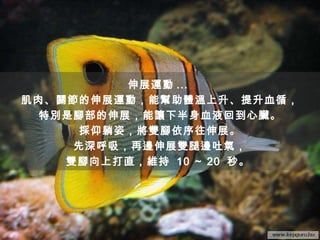 伸展運動 ...  肌肉、關節的伸展運動，能幫助體溫上升、提升血循， 特別是腳部的伸展，能讓下半身血液回到心臟。 採仰躺姿，將雙腳依序往伸展。 先深呼吸，再邊伸展雙腿邊吐氣， 雙腳向上打直，維持  10 ～ 20  秒。  