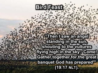 Bird Feast
"Then I saw an angel
standing in the sun,
shouting to the vultures
flying high in the sky: 'Come!
Gather together for the great
banquet God has prepared'"
(19:17 NLT).
 