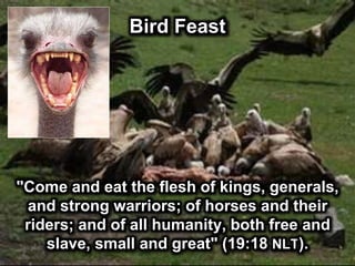 Bird Feast
"Come and eat the flesh of kings, generals,
and strong warriors; of horses and their
riders; and of all humanity, both free and
slave, small and great" (19:18 NLT).
 