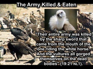 The Army Killed & Eaten
"Their entire army was killed
by the sharp sword that
came from the mouth of the
one riding the white horse.
And the vultures all gorged
themselves on the dead
bodies" (19:21 NLT).
 