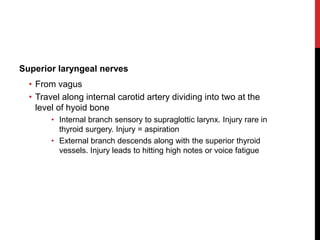 Superior laryngeal nerves
• From vagus
• Travel along internal carotid artery dividing into two at the
level of hyoid bone
• Internal branch sensory to supraglottic larynx. Injury rare in
thyroid surgery. Injury = aspiration
• External branch descends along with the superior thyroid
vessels. Injury leads to hitting high notes or voice fatigue
 