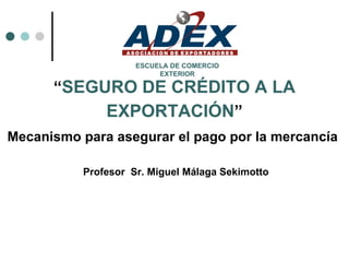 “ SEGURO DE CRÉDITO A LA EXPORTACIÓN ” Mecanismo para asegurar el pago por la mercancía   Profesor  Sr. Miguel Málaga Sekimotto ESCUELA DE COMERCIO EXTERIOR 