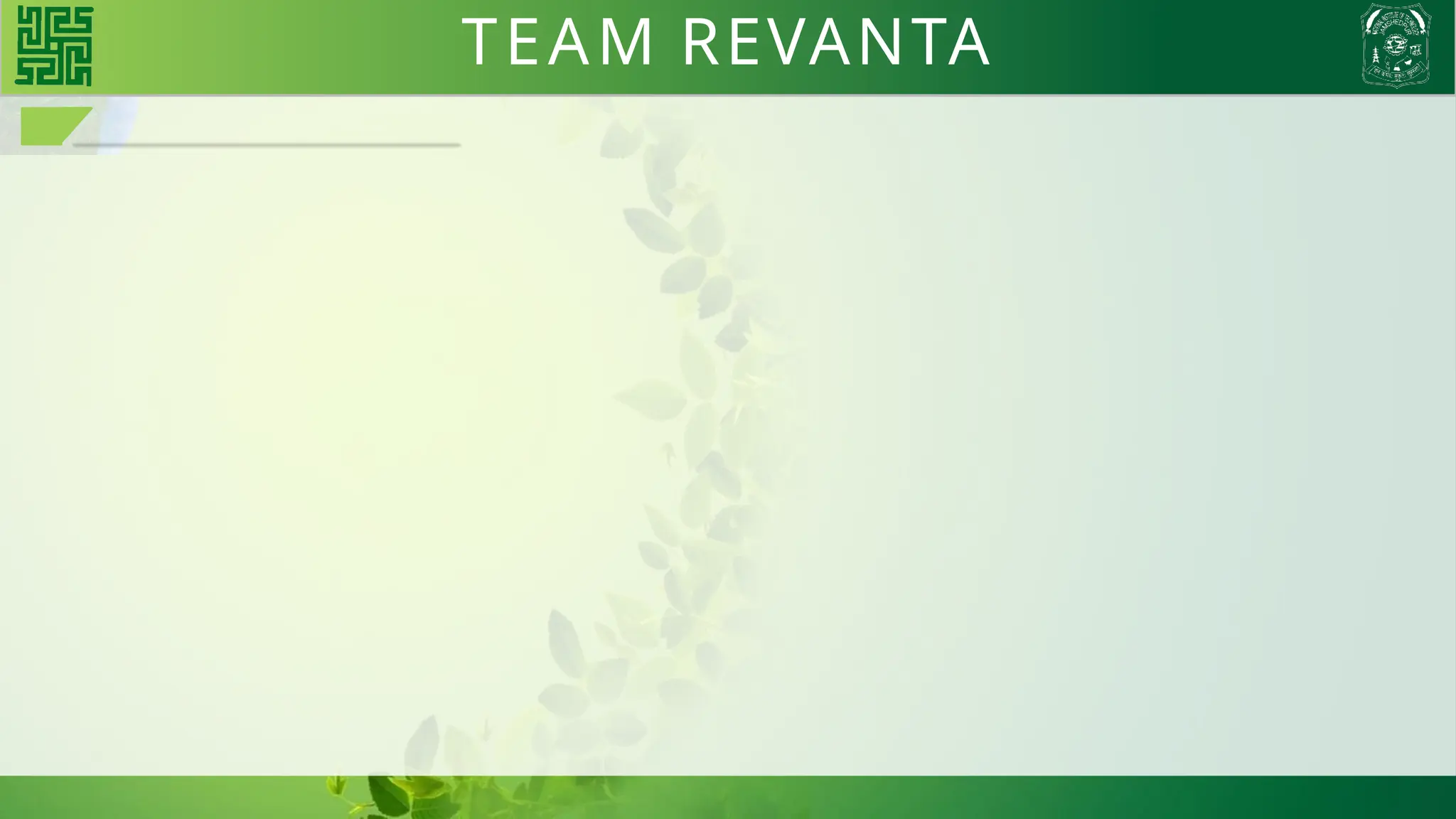 TEAM REVANTA
 