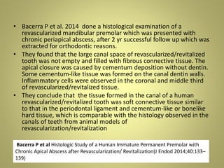 • Bacerra P et al. 2014 done a histological examination of a
revascularized mandibular premolar which was presented with
chronic periapical abscess, after 2 yr successful follow up which was
extracted for orthodontic reasons.
• They found that the large canal space of revascularized/revitalized
tooth was not empty and filled with fibrous connective tissue. The
apical closure was caused by cementum deposition without dentin.
Some cementum-like tissue was formed on the canal dentin walls.
Inflammatory cells were observed in the coronal and middle third
of revascularized/revitalized tissue.
• They conclude that the tissue formed in the canal of a human
revascularized/revitalized tooth was soft connective tissue similar
to that in the periodontal ligament and cementum-like or bonelike
hard tissue, which is comparable with the histology observed in the
canals of teeth from animal models of
revascularization/revitalization
27 November 2016 39
Bacerra P et al Histologic Study of a Human Immature Permanent Premolar with
Chronic Apical Abscess after Revascularization/ Revitalization(J Endod 2014;40:133–
139)
 