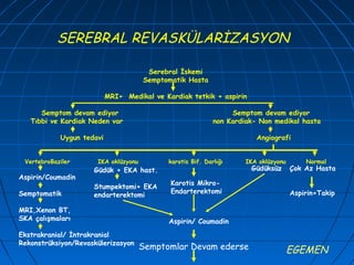 SEREBRAL REVASKÜLARİZASYON

                                       Serebral İskemi
                                      Semptomatik Hasta

                           MRI+ Medikal ve Kardiak tetkik + aspirin

      Semptom devam ediyor                                        Semptom devam ediyor
   Tıbbi ve Kardiak Neden var                                non Kardiak- Non medikal hasta

            Uygun tedavi                                                 Angiografi


 VertebroBaziler      IKA oklüzyonu          karotis Bif. Darlığı     IKA oklüzyonu       Normal
                     Güdük + EKA hast.                                 Güdüksüz       Çok Az Hasta
Aspirin/Coumadin
                                             Karotis Mikro-
                     Stumpektomi+ EKA
Semptomatik                                  Endarterektomi                           Aspirin+Takip
                     endarterektomi

MRI,Xenon BT,
SKA çalışmaları                              Aspirin/ Coumadin
Ekstrakranial/ İntrakranial
Rekonstrüksiyon/Revaskülerizasyon
                                      Semptomlar Devam ederse                         EGEMEN
 