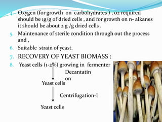 4. Oxygen (for growth on carbohydrates ) , o2 required 
should be 1g/g of dried cells , and for growth on n- alkanes 
it should be about 2 g /g dried cells . 
5. Maintenance of sterile condition through out the process 
and , 
6. Suitable strain of yeast. 
7. RECOVERY OF YEAST BIOMASS : 
8. Yeast cells (1-2%) growing in fermenter 
Decantatin 
on 
Yeast cells 
Centrifugation-I 
Yeast cells 
 