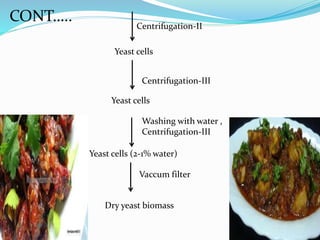 CONT….. 
Centrifugation-II 
Yeast cells 
Centrifugation-III 
Yeast cells 
Washing with water , 
Centrifugation-III 
Yeast cells (2-1% water) 
Vaccum filter 
Dry yeast biomass 
 