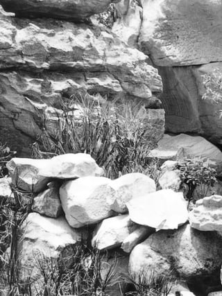 132
educação
ambiental
de
revista brasileira
 