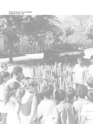 58
educação
ambiental
de
revista brasileira
Plantio de árvores nas comunidades
de Gentio do Ouro – BA
 