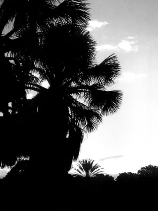 8
educação
ambiental
de
revista brasileira
 