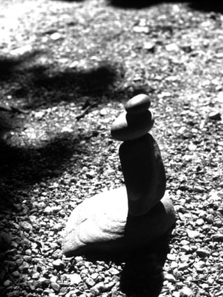 13
educação
ambiental
de
revista brasileira
 