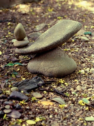 2
educação
ambiental
de
revista brasileira
CAPA 2
 