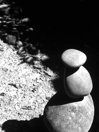 51
educação
ambiental
de
revista brasileira
 