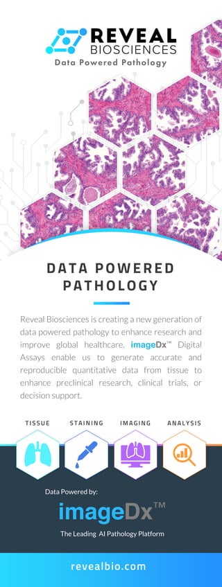 Reveal biosciences data powered pathology