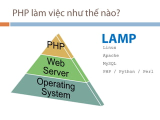 PHP lm vi?c nh? th? no? LAMP Linux Apache MySQL PHP / Python / Perl 